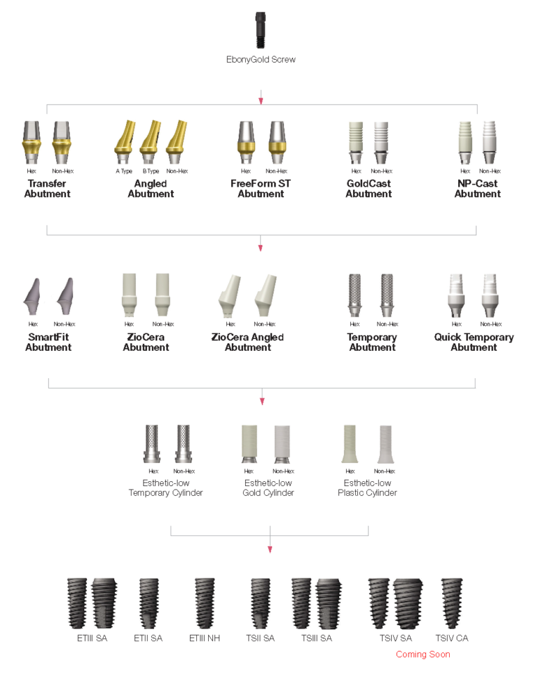 Prosthetic flow diagram