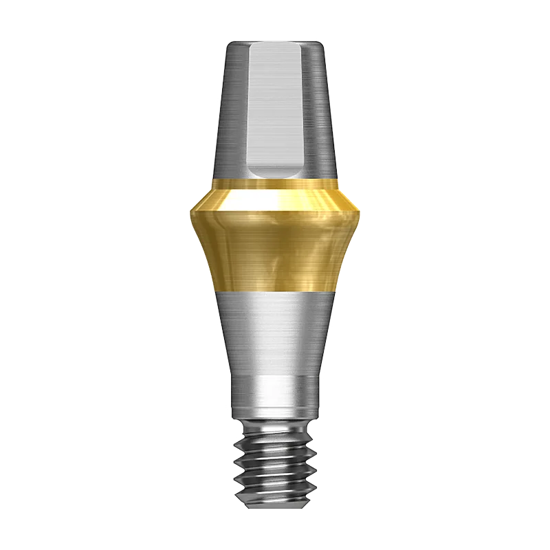 Rigid Abutment